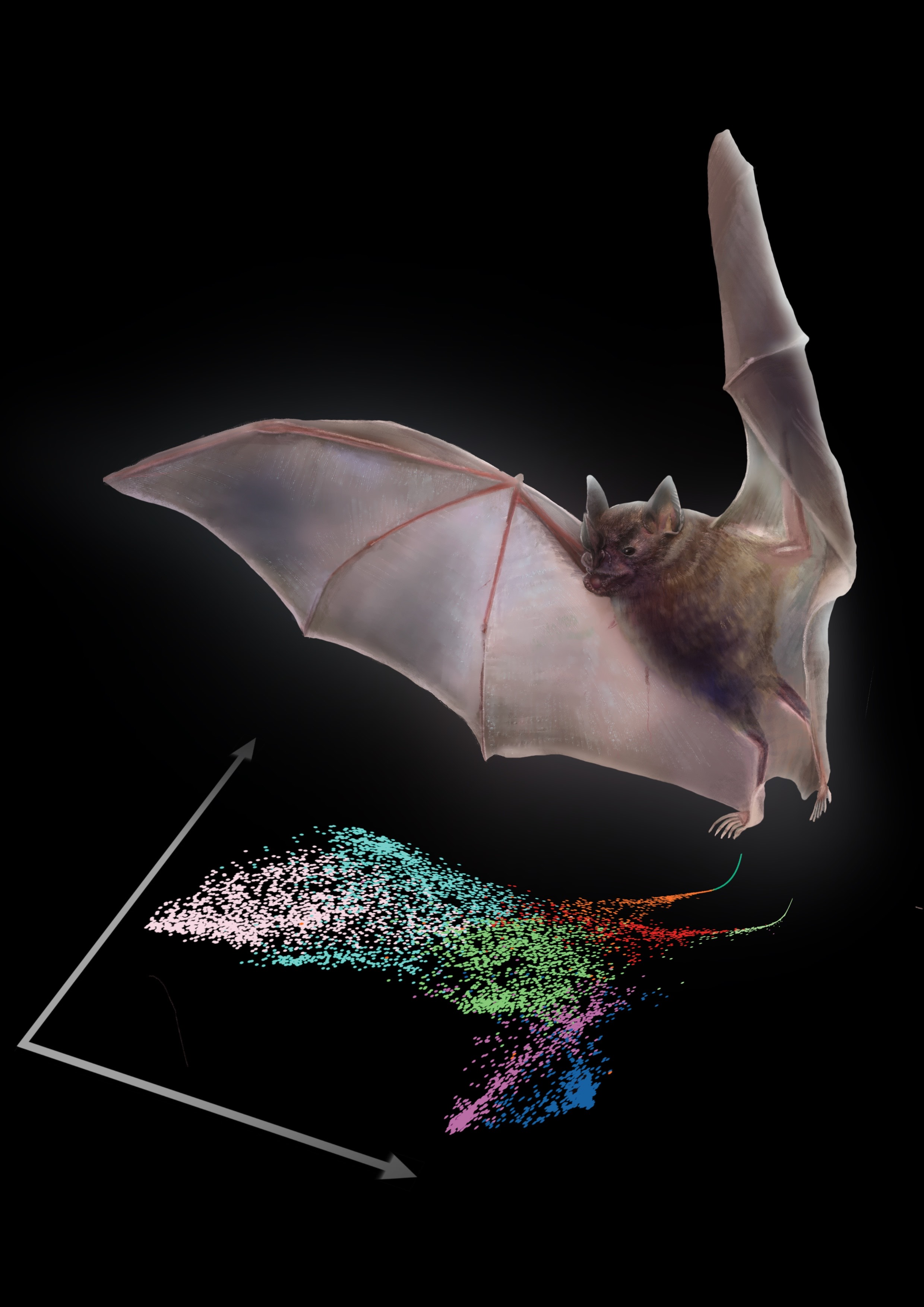 Thrilled to see our revised preprint now published in Nature Ecology Evolution