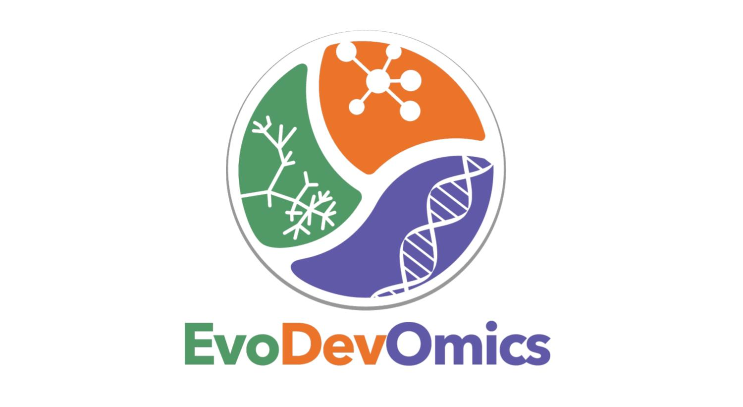 1st General Meeting of the Spanish EvoDevOmics Network in Barcelona 27-28 April 2026