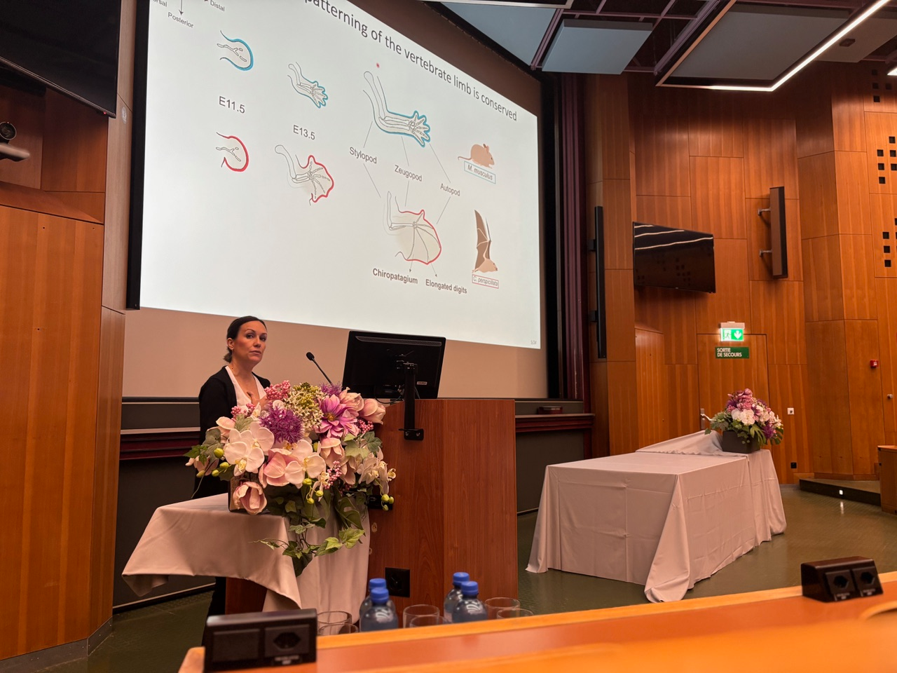 Fany in action during her presentation