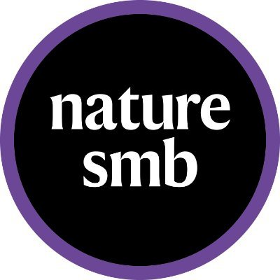 Chromatin spatial analysis by METALoci unveils sex-determining 3D regulatory hubs