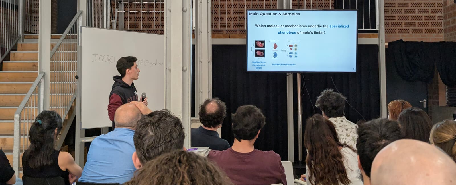 Rubén s Talk