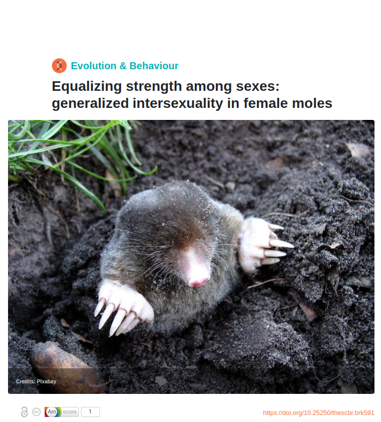 Sciencebreaker Equalizing strength among sexes generalized intersexuality in female moles