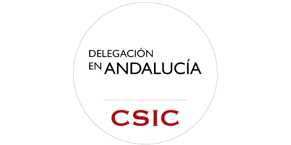 Centro Superior Investagaciones Científicas https: delegacion.andalucia.csic.es un-estudio-revela-que-las-alas-de-los-murcielagos-se-forman-reutilizando-programas-geneticos-ya-existentes