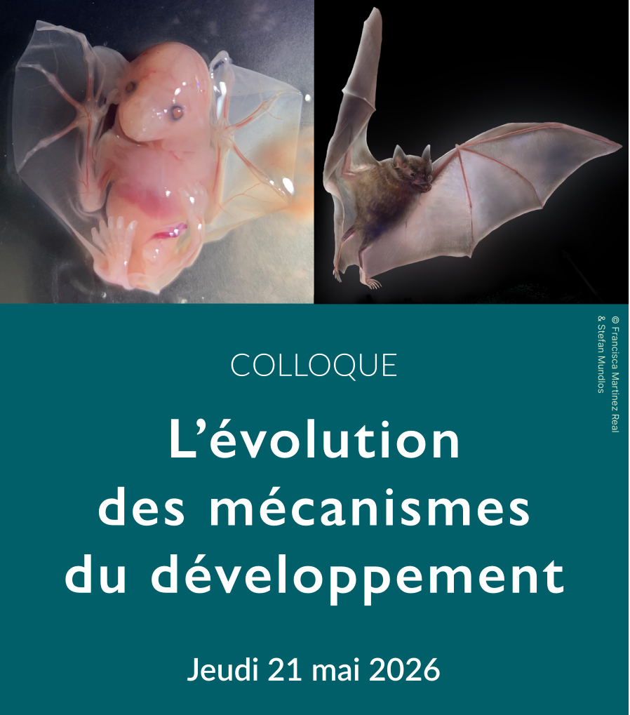 Fany as an invited speaker in the conference L évolution des mécanismes du développement organized by Denis Duboule