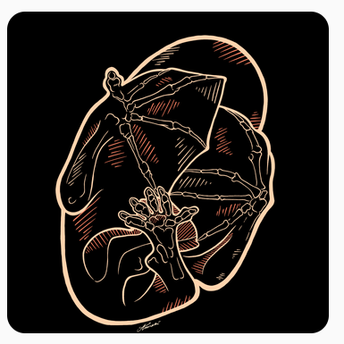 Post from Anna Alessandra Monaco about The molecular remix of bat wing evolution